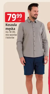 Koszula męska Moraj promocja w Leclerc