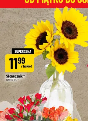 Słoneczniki promocja w POLOmarket