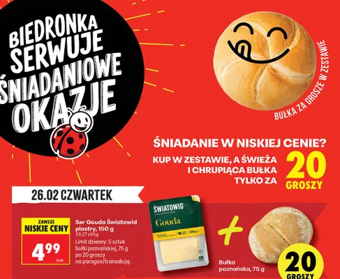 Ser Gouda plastry promocja w Biedronka