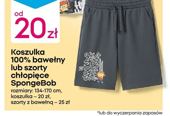 Szorty chłopięce SpongeBob promocja w Pepco