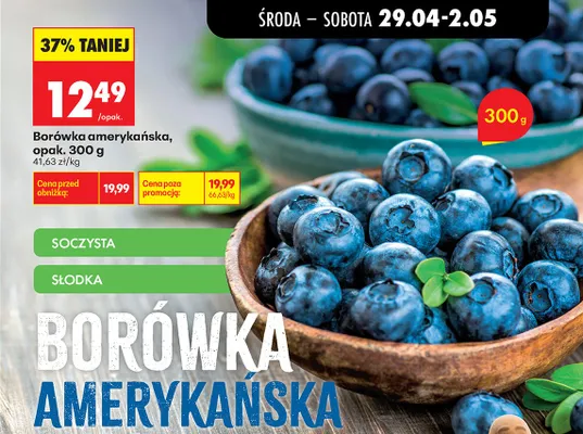 Borówki amerykańskie 300g promocja w Biedronka