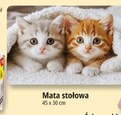 Mata stołowa 45x30 cm promocja w Leclerc