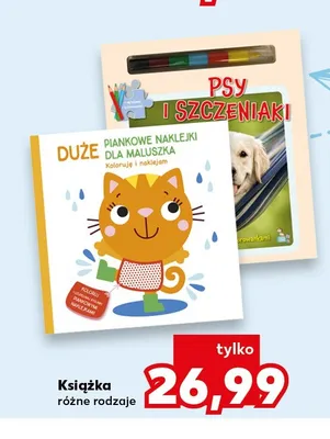 Książka Duże piankowe naklejki dla maluszka promocja w BACK TO SCHOOL