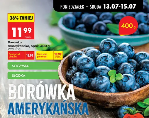 Borówka amerykańska soczysta słodka promocja w Biedronka
