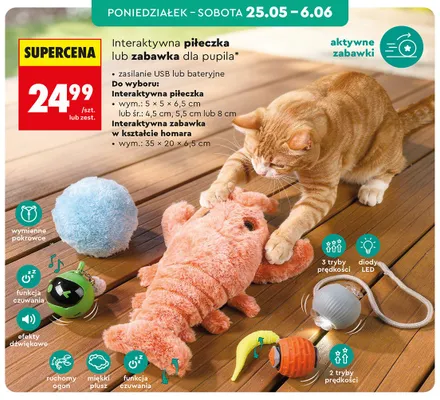 Interaktywna piłeczka dla pupila promocja w Biedronka