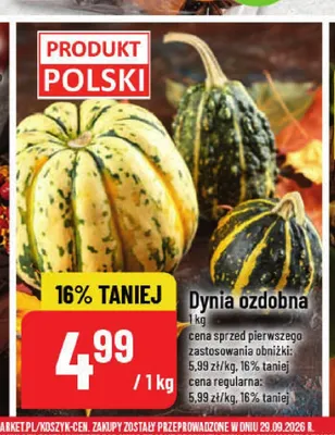 Dynia ozdobna promocja w POLOmarket