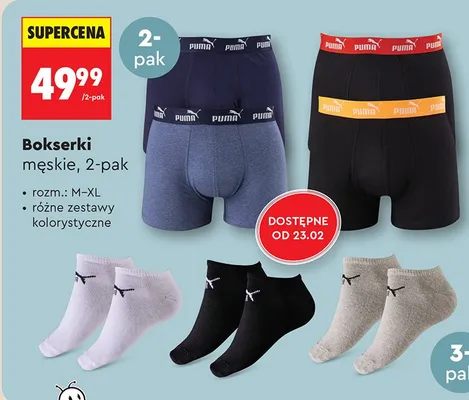 Skarpety damskie lub męskie promocja w Biedronka