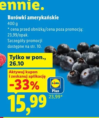 Borówki amerykańskie promocja w Lidl