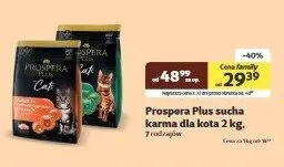 Sucha karma dla kota - cena od: promocja w KAKADU