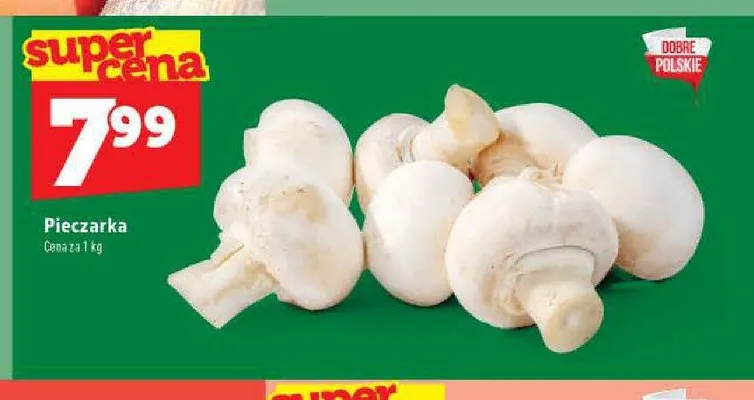 Pieczarka promocja w TOPAZ