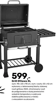 Katalog ogród, strona 48 promocja w Bricomarche