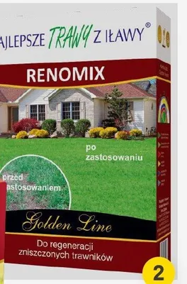 Trawa renowacyjna mix 1kg promocja w Castorama