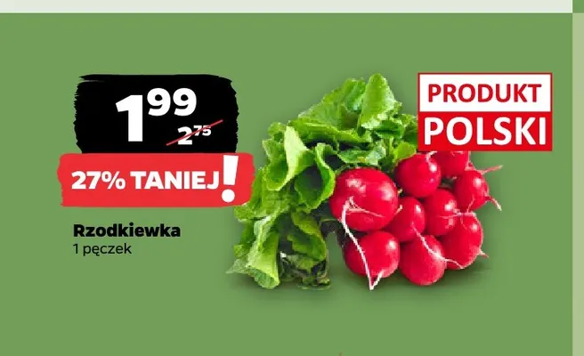 Rzodkiewka promocja w Netto
