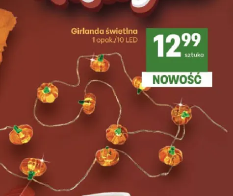 Girlanda świetlna 10 LED promocja w Delikatesy Centrum