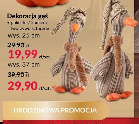 Dekoracja gęś promocja w Salony Agata