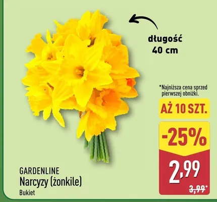 Narcyzy (żonkile) bukiet promocja w Aldi