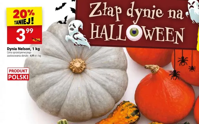 Dynia Nelson promocja w Twój Market
