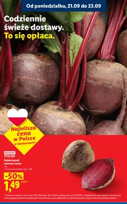 Buraki czerwone luzem promocja w Lidl