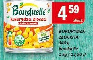 Kukurydza złocista promocja w Chorten