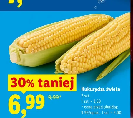 Kukurydza świeża promocja w Lidl