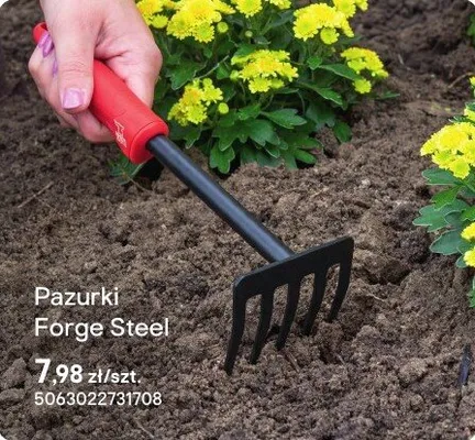 Pazurki promocja w Castorama