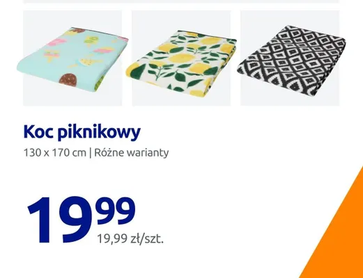 Koc piknikowy promocja w Action