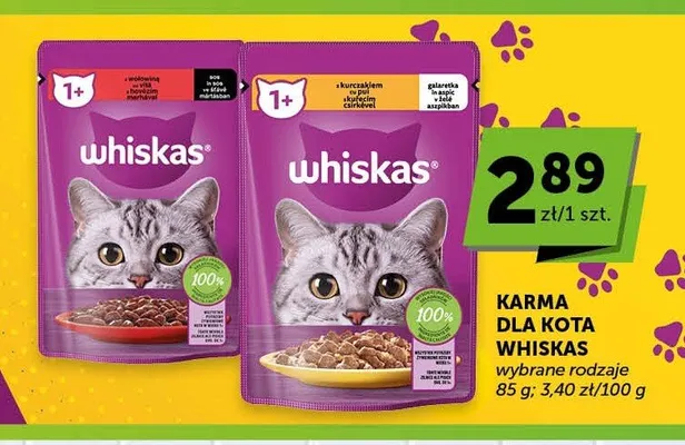 Karma dla kota Whiskas 1+ z kurczakiem w galaretce promocja w ABC