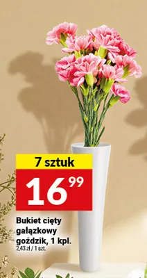 Bukiet cięty gałązkowy goździk promocja w Twój Market