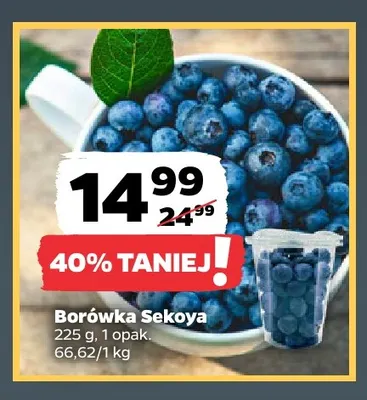Borówka Sekoya promocja w Netto