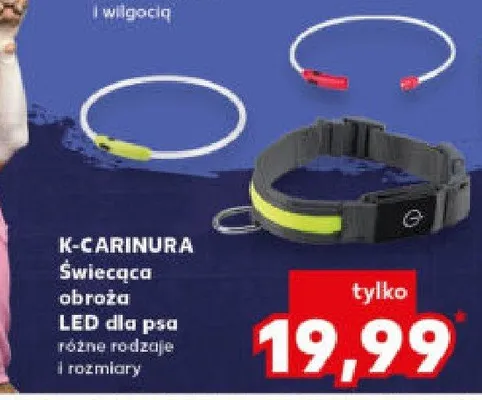 Świecąca obroża LED dla psa różne rodzaje i rozmiary promocja w Kaufland