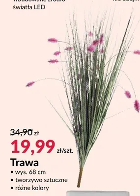 Trawa promocja w Salony Agata