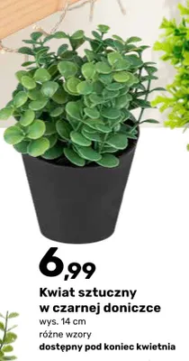 Kwiat sztuczny w czarnej doniczce promocja w Bricomarche