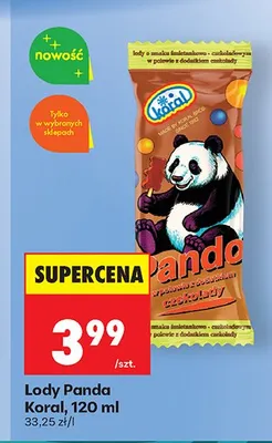 Lody Panda Koral promocja w Biedronka