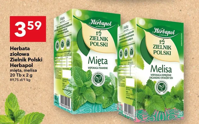 Herbata ziołowa Zielnik Polski melisa promocja w LEWIATAN