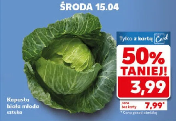 Kapusta biała młoda promocja w Kaufland