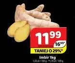 Imbir promocja w Delfin