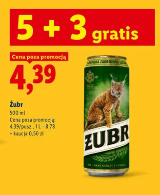 Piwo Żubr promocja w Lidl