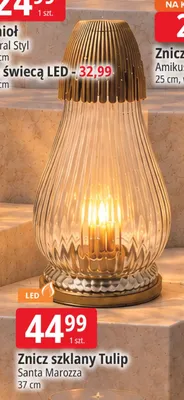 Znicz szklany Tulip Santa Marozza 37 cm promocja w Leclerc