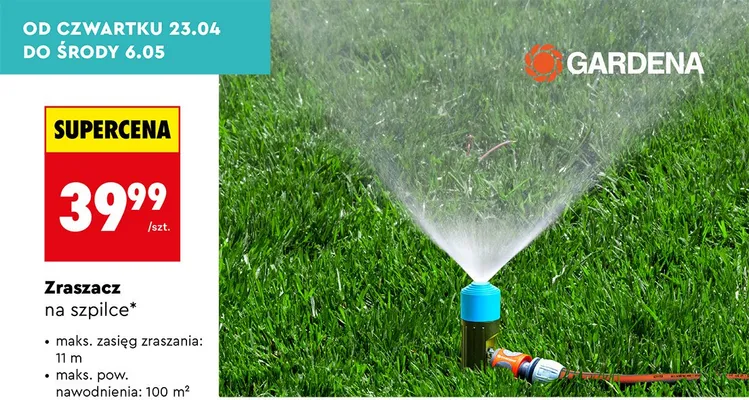 Zraszacz na szpilce promocja w Biedronka