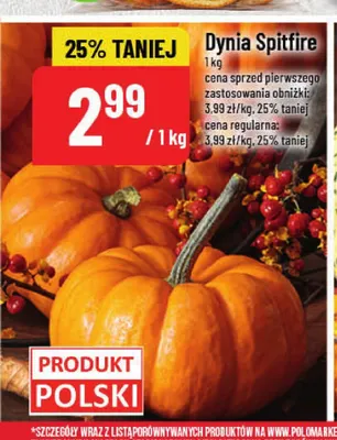Dynia Spitfire promocja w POLOmarket