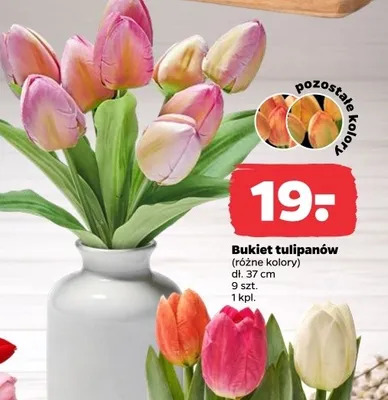 Bukiet tulipanów promocja w Netto