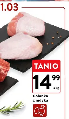 Golonka z indyka promocja w Intermarche