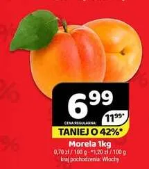 Morela Włochy promocja w Delfin