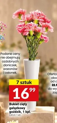 Bukiet cięty gałązkowy goździk 7-pak promocja w Twój Market