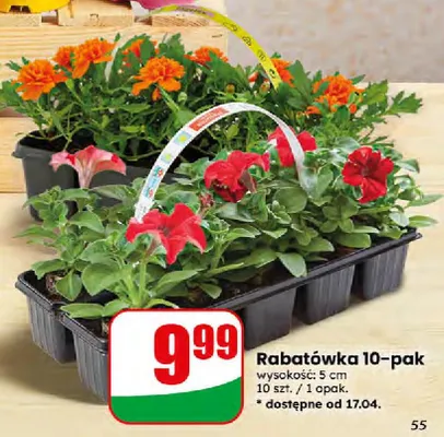 Rabatówka 10-pak Dino promocja w Dino