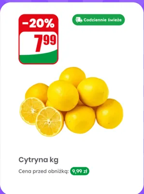 Cytryna promocja w Dino