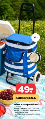 Wózek z torbą termiczną 22l 35x27x97cm promocja w Netto