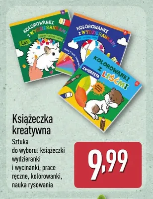 Książeczka kreatywna promocja w Aldi