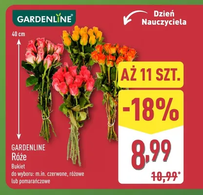 Róże bukiet 40 cm Gardenline promocja w Aldi