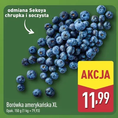 Borówka amerykańska XL promocja w Aldi